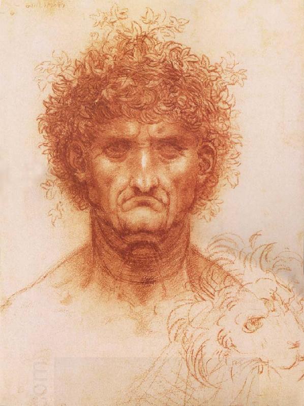 LEONARDO da Vinci Buste one frontal to seeing man and head of a Lowen oil painting picture